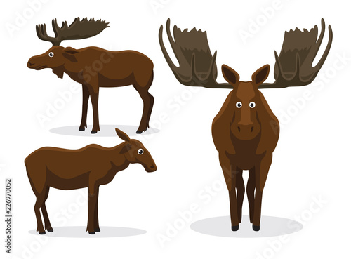Cute Moose Cartoon Vector Illustration