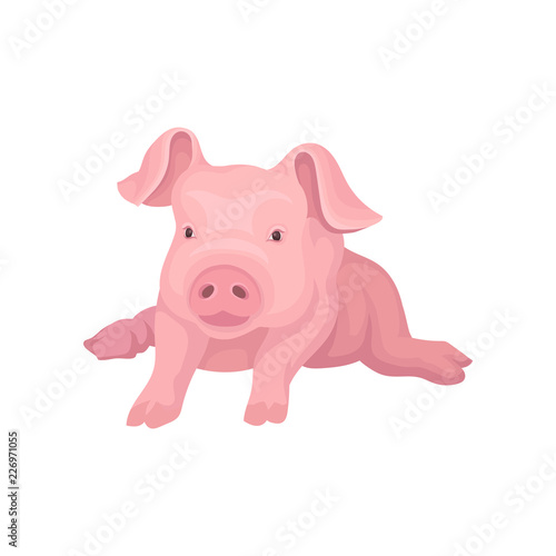 Adorable pink piglet lying isolated on white background. Domestic animal with big ears and cute snout. Vector design