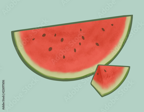 Tropical sliced red watermelon illustration