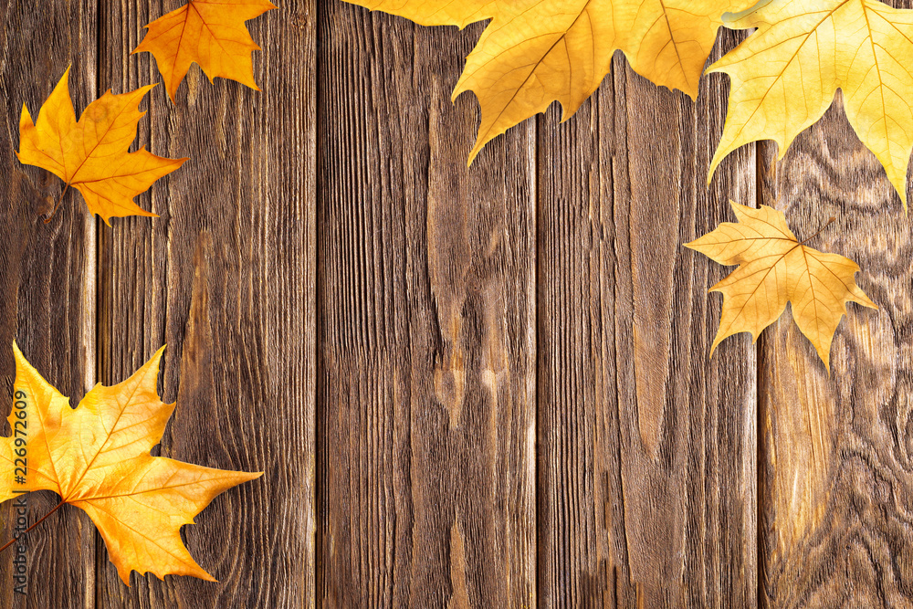 Background with yellow maple leaves. Аutumnal colored. Frame from autumn leaves. Soft focus. Background with yellow maple leaves. Аutumnal colored. Frame from autumn leaves. Soft focus.