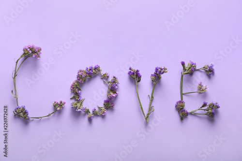 Word LOVE made of flowers on color background
