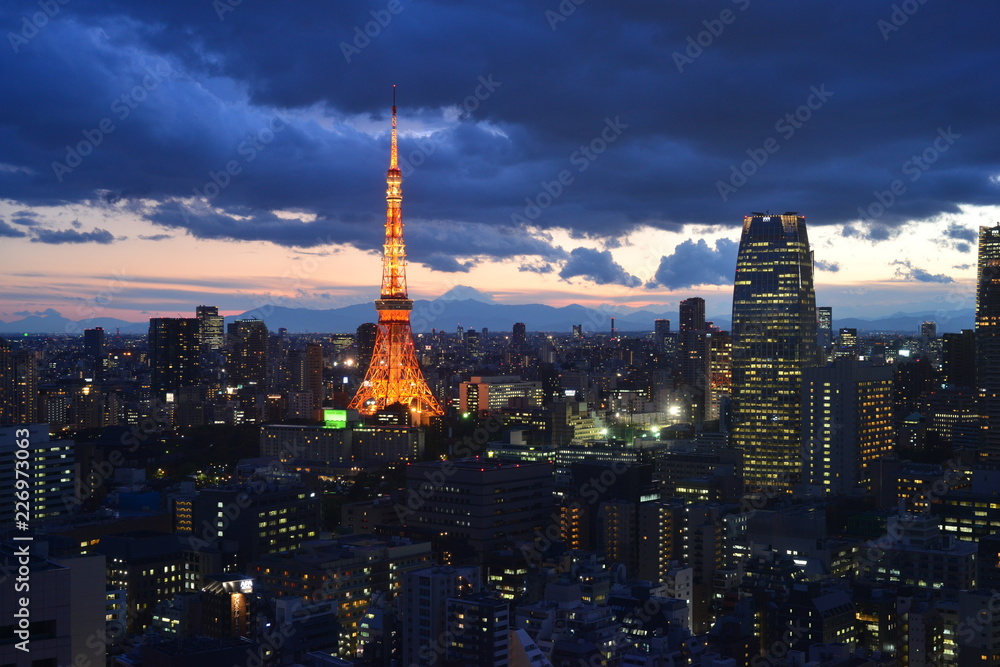 Fototapeta premium Tokyo Tower from Park Hotel