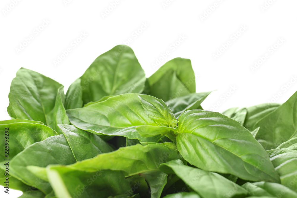 Fresh green basil on white background, closeup Fresh green basil on white background, closeup