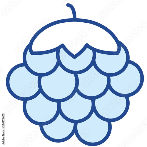 Brombeere, Kratzbeere Vector icon Illustration