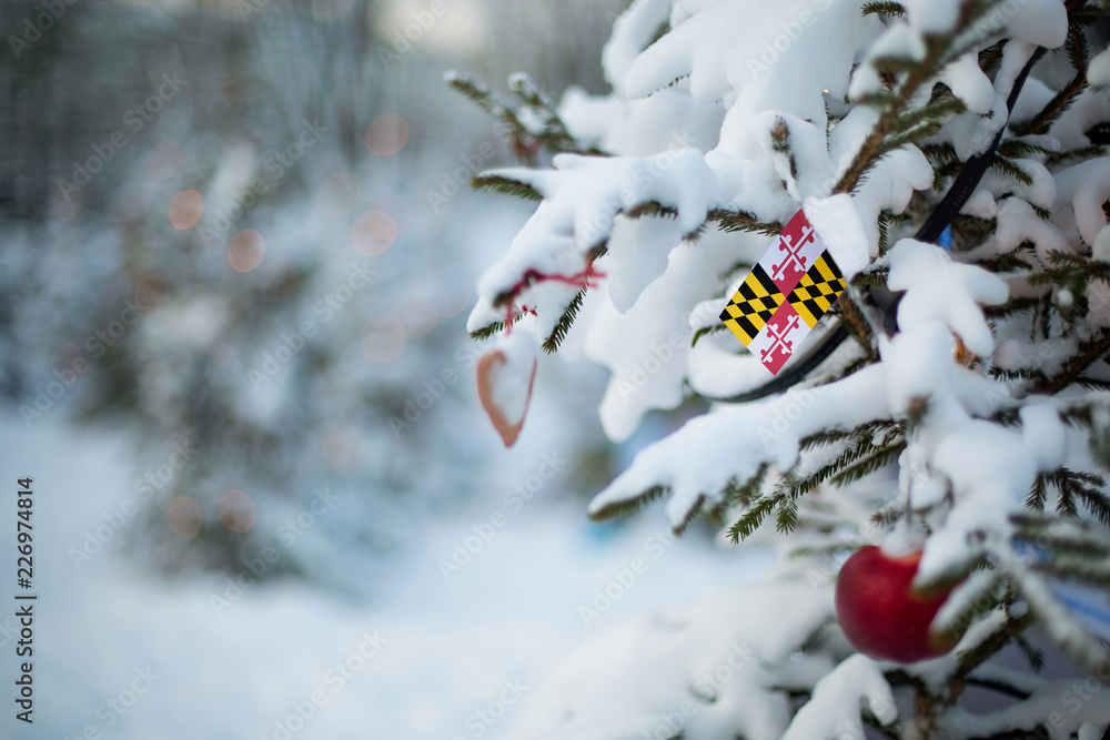 Maryland state flag. Christmas background outdoor. Christmas tree covered with snow and decorations and Maryland flag. New Year / Christmas holiday greeting card. Maryland state flag. Christmas background outdoor. Christmas tree covered with snow and decorations and Maryland flag. New Year / Christmas holiday greeting card.