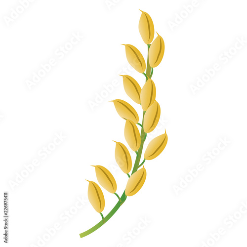 イネ