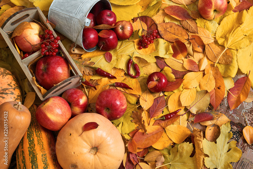 autumn harvest - fruits and vegetables are on fallen yellow leaves, apples, pumpkins, rowan and pepper. Perfect background for autumn season.