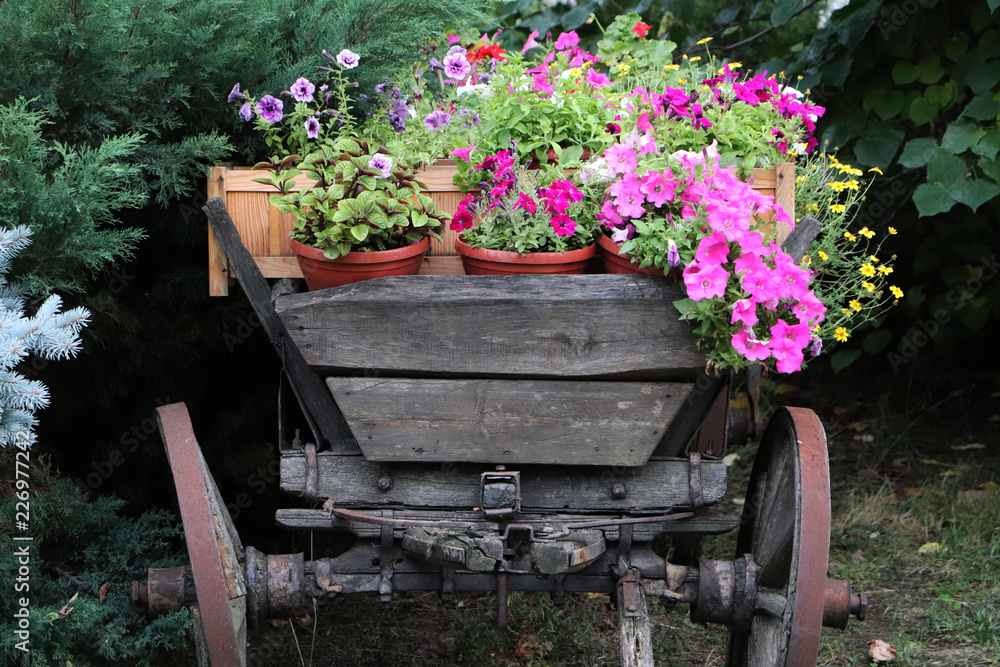 Vintage cart with flowers. Decoration for the site