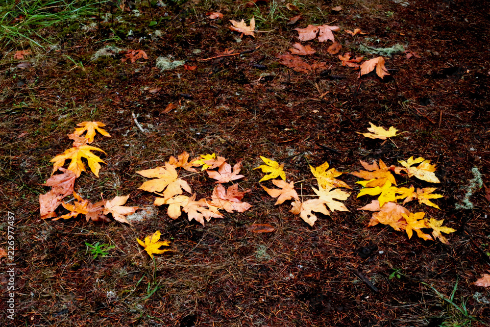 Obraz premium for the love of nature