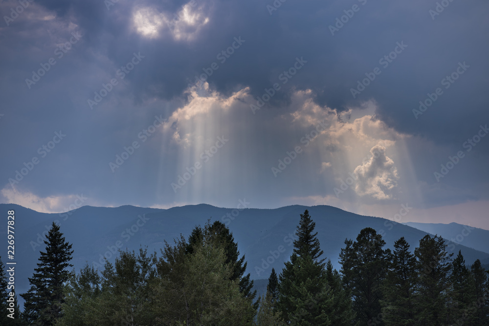 sun rays in the cloudy sky over the mountains and fur tree forests