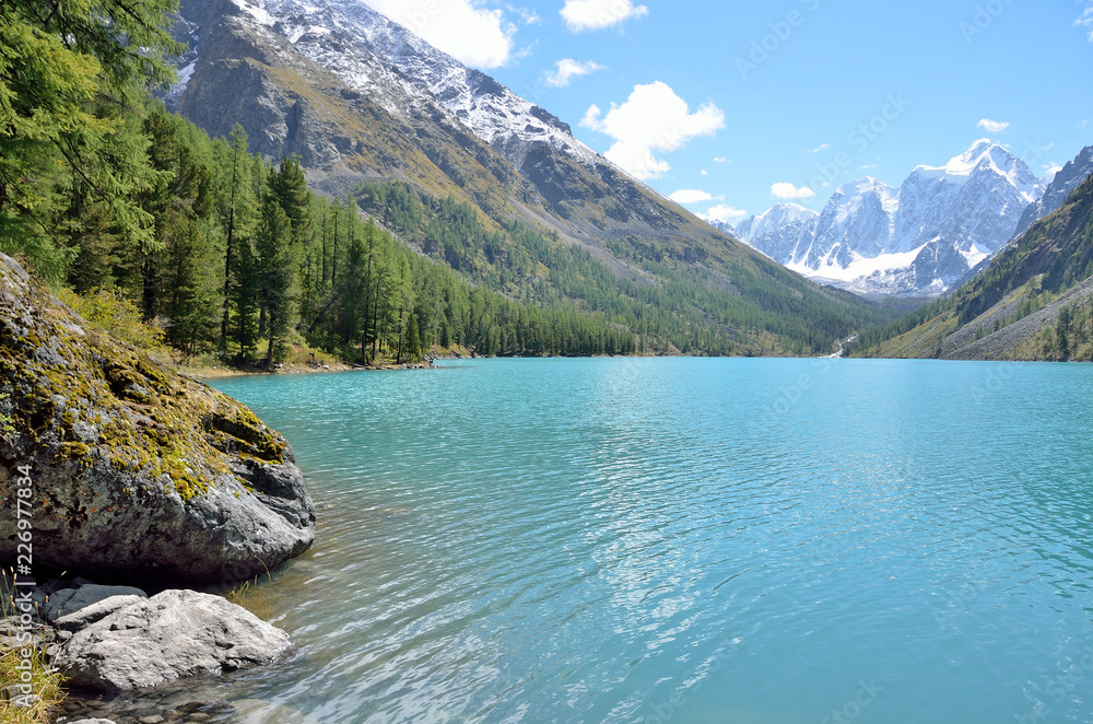 Naklejka premium Russia, Mountain Altai. The shore of Big Shavlinskoye lake in august