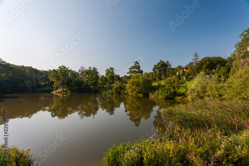 Summer landscape with lake