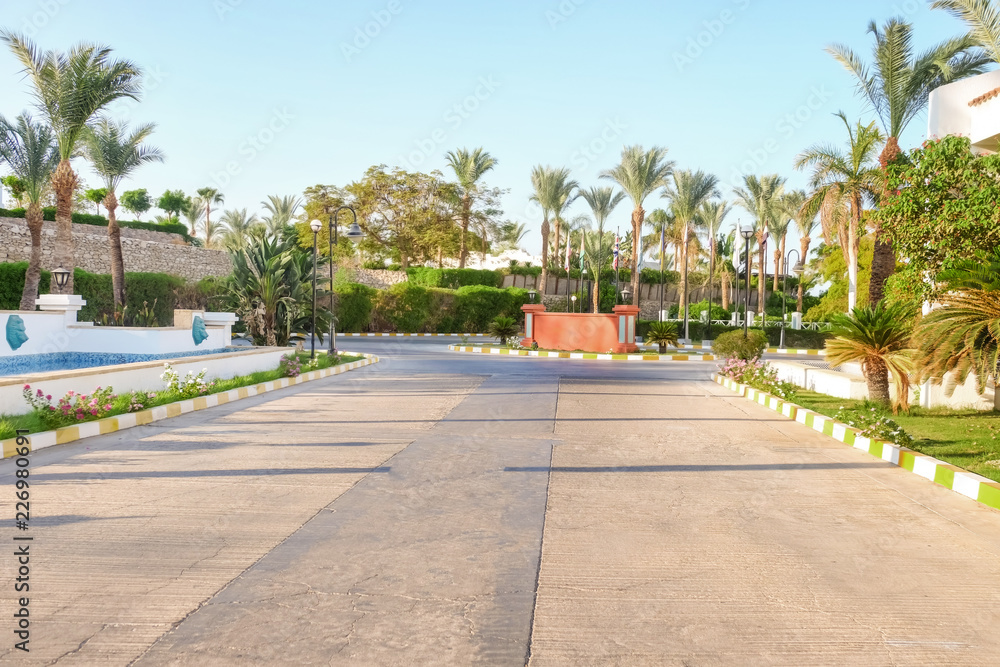 Fototapeta premium View of city street with tropical plants