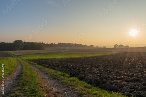 Landschaft bei tiefstehender Sonne im Herbst