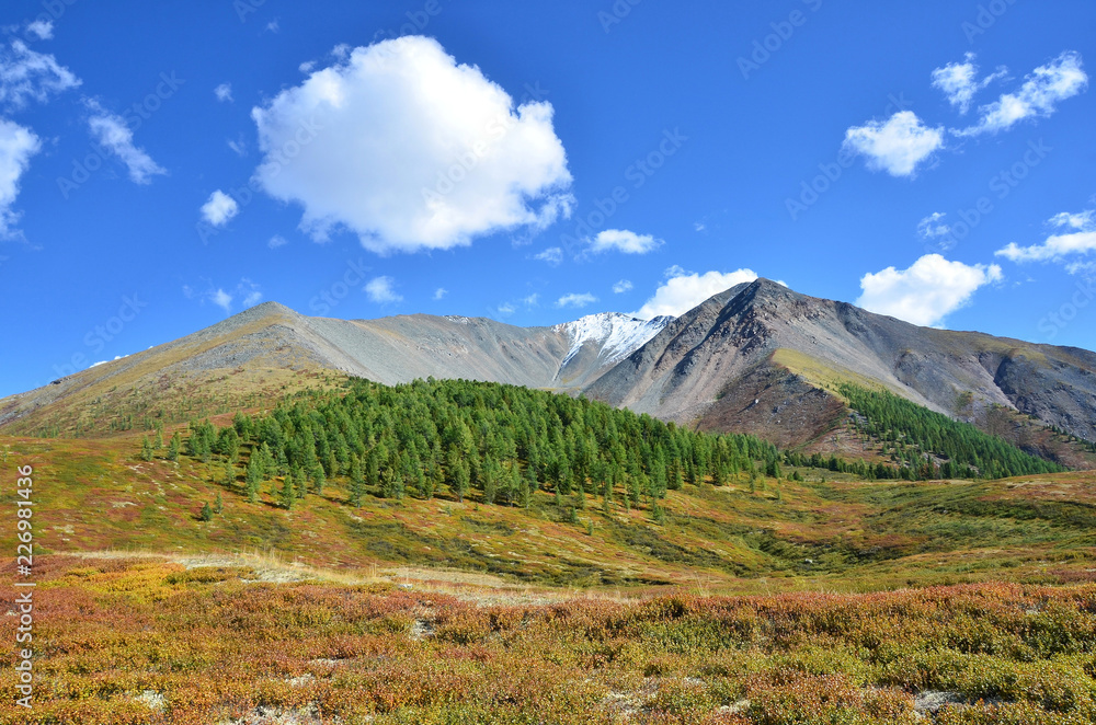 Россия, Республика Алтай, плато Ештыкёль в конце лета
