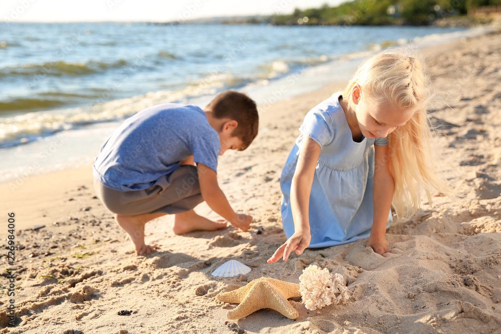 Cute little children gathering sea shells on beach Cute little children gathering sea shells on beach