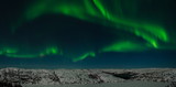 Aurora, northern lights, night, tundra in winter.
