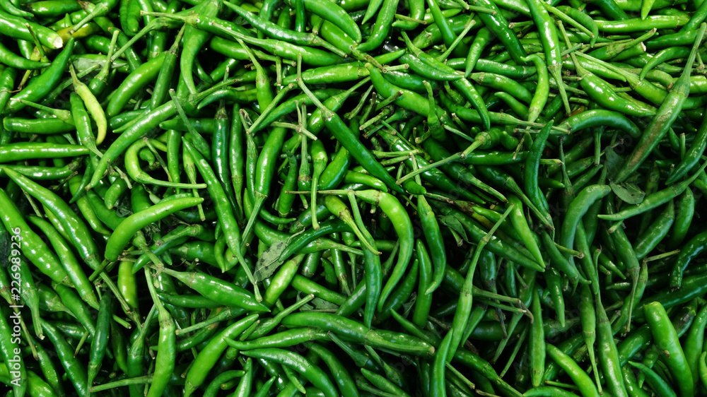 Green Chilies Background,Selective focus. Hot chili peppers pattern texture background. Green Chilies Background,Selective focus. Hot chili peppers pattern texture background.