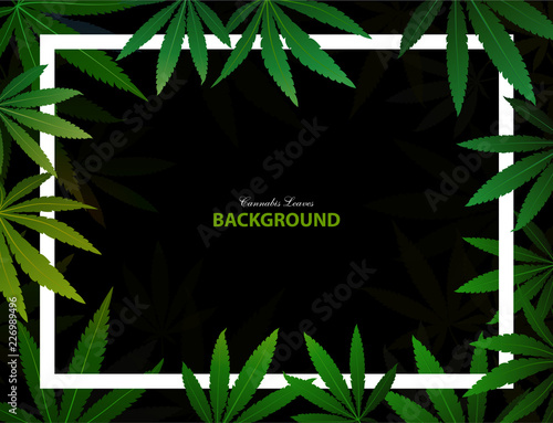 green cannabis leaf drug marijuana herb Background.