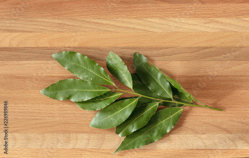 Sprig of bay leaves on a cutting board