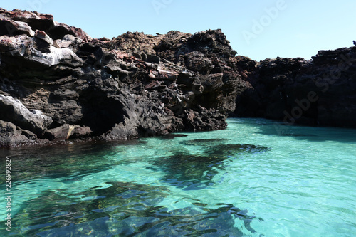Background picture of a rocky shore and crystal clear water of Galapagos