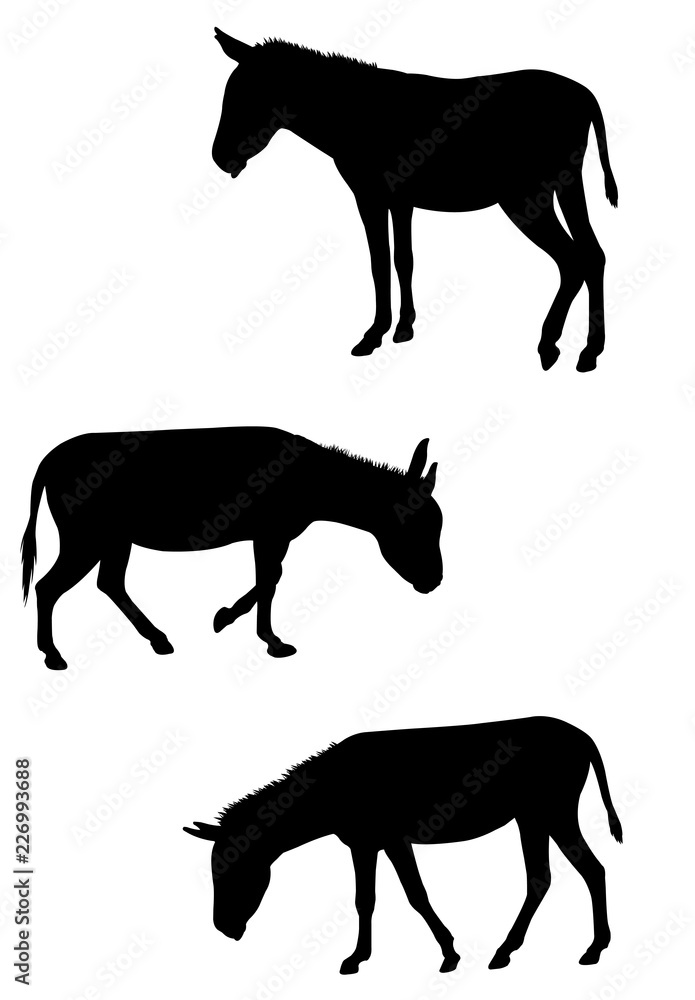 donkeys silhouettes set - vector