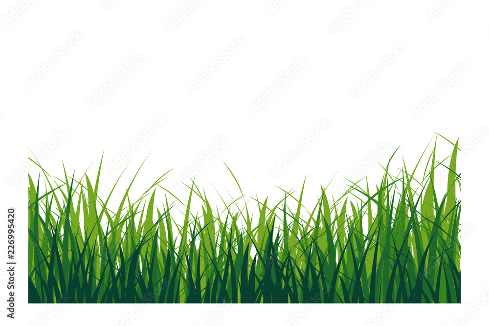Green grass isolated. Vector illustration Green grass isolated. Vector illustration