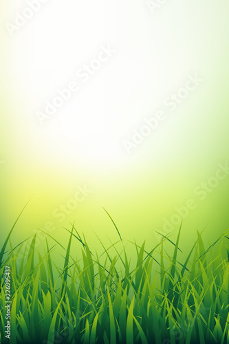 Vertical natural background of fresh green grass close-up. Grass blades under sunlight. Vector illustration