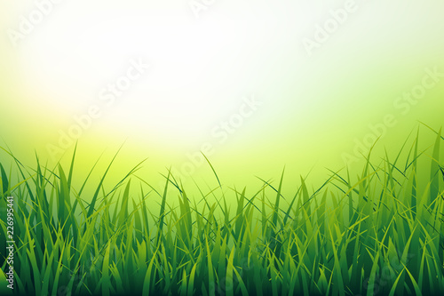 Beautiful nature background of fresh grass close-up. Green blades on blurred background. Vector illustration