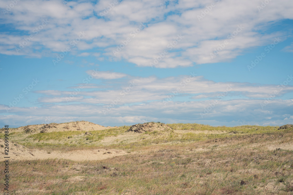 Landscape of the Curonian Spit Landscape of the Curonian Spit
