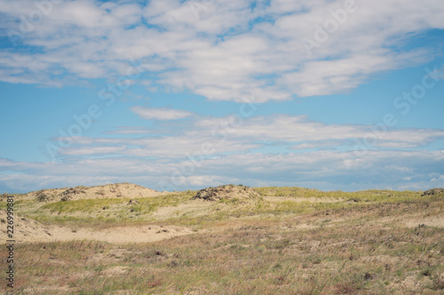 Landscape of the Curonian Spit