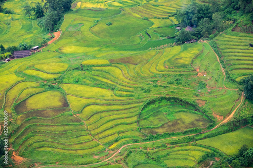 Landscape scene of village terrace rice field in Sapa, Vietnam.