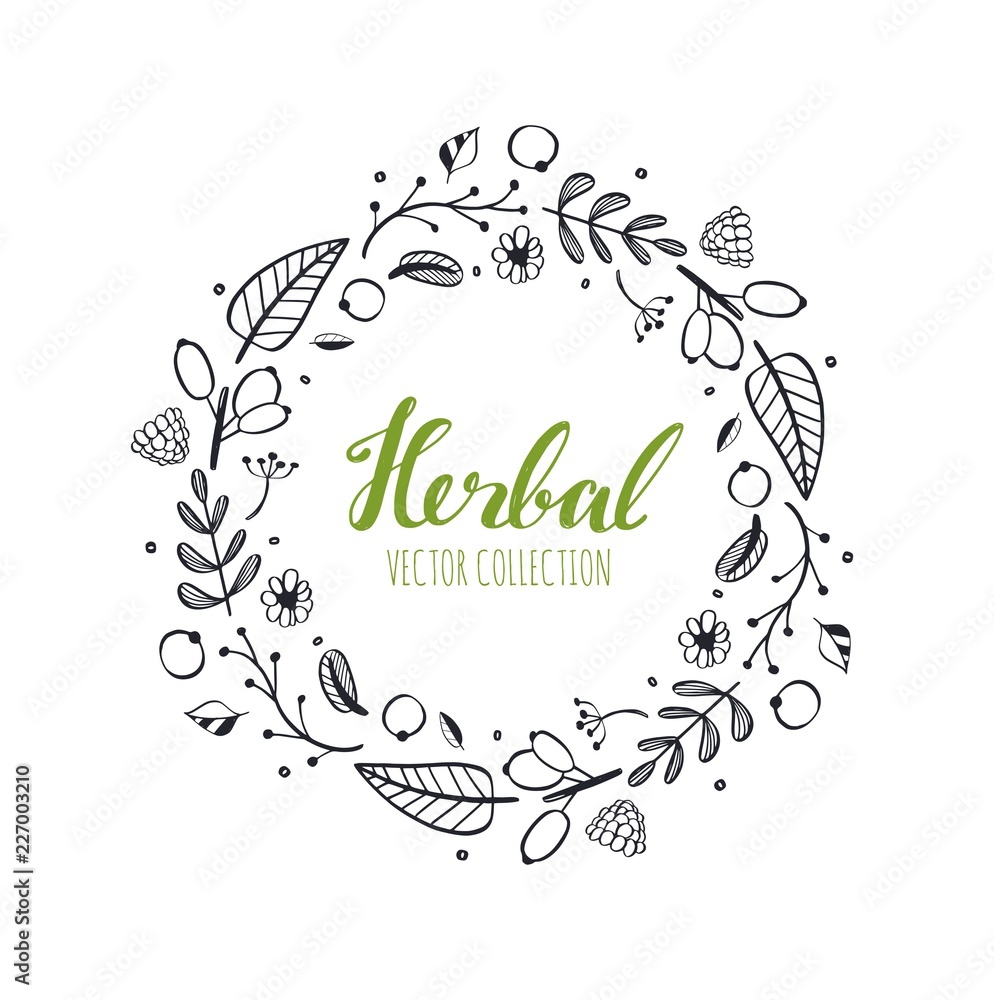 Rustic vector decorative plants and flowers wreath 2 Rustic vector decorative plants and flowers wreath 2