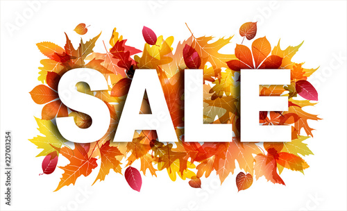 Sale banner on white background with bright autumn foliage. Leaves of maple, oak, sycamore and chestnut