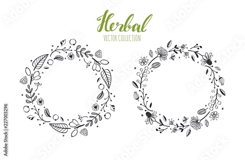 Rustic vector decorative plants and flowers wreath