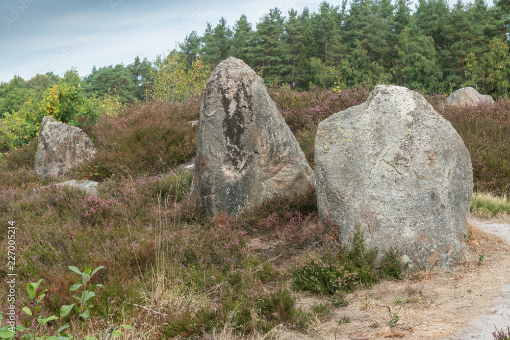 Oldendorfer Totenstatt in der Lüneburger Heide Oldendorfer Totenstatt in der Lüneburger Heide