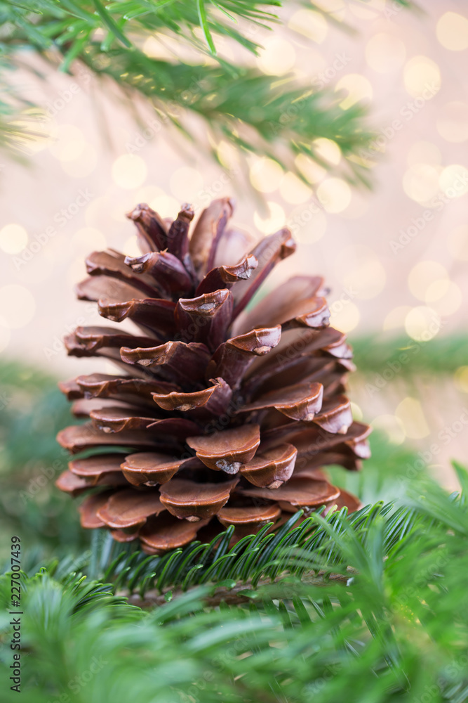 Christmas greeting card backgrounds. Christmas greeting card backgrounds.