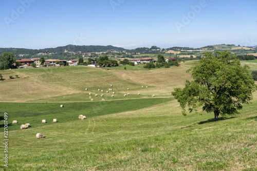 Landscape near Cerrina, Monferrato, Italy