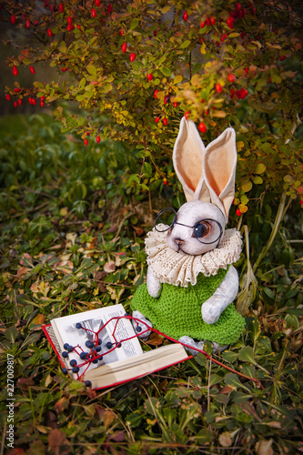 white rabbit from Katrin Cane photo