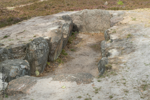 Hünenbett in der Oldendorfer Totenstatt in der Lüneburger Heide photo