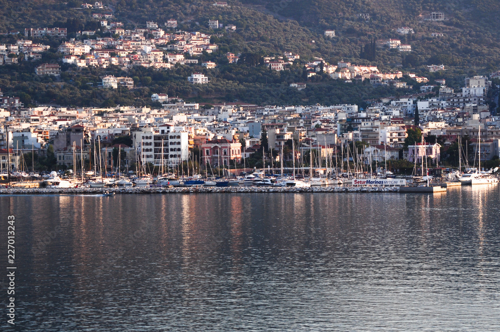 Naklejka premium view of marine