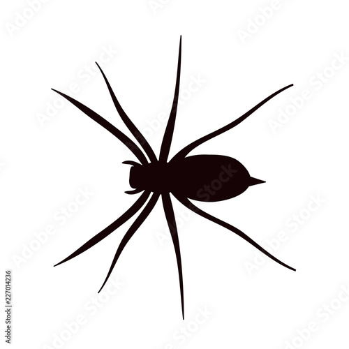 spider icon, silhouette