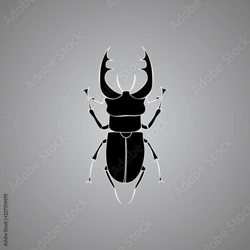 insect, beetle icon