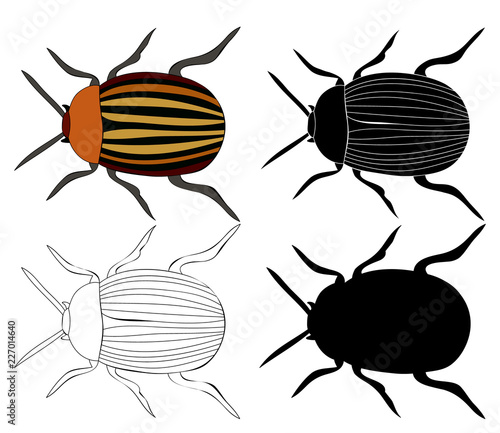 vector isolated set of beetle