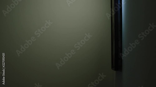 Thief climbs into the house, shines a flashlight on the picture and then steals it