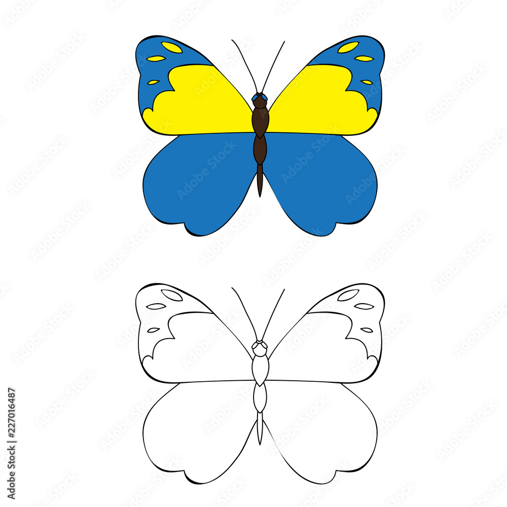 vector, isolated, coloring book butterfly