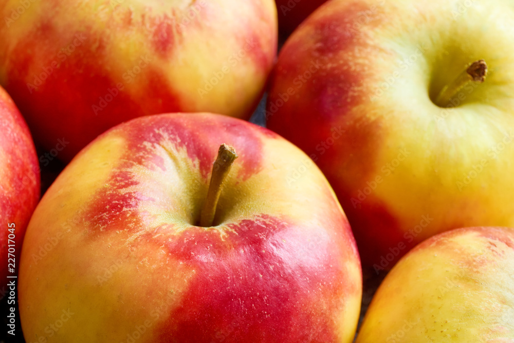 Close-up of multiple red yellow sweat soft organic apples with apple stalks Close-up of multiple red yellow sweat soft organic apples with apple stalks