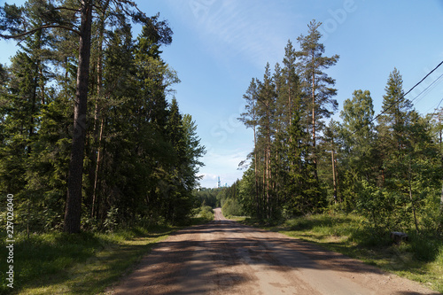 road in the forest