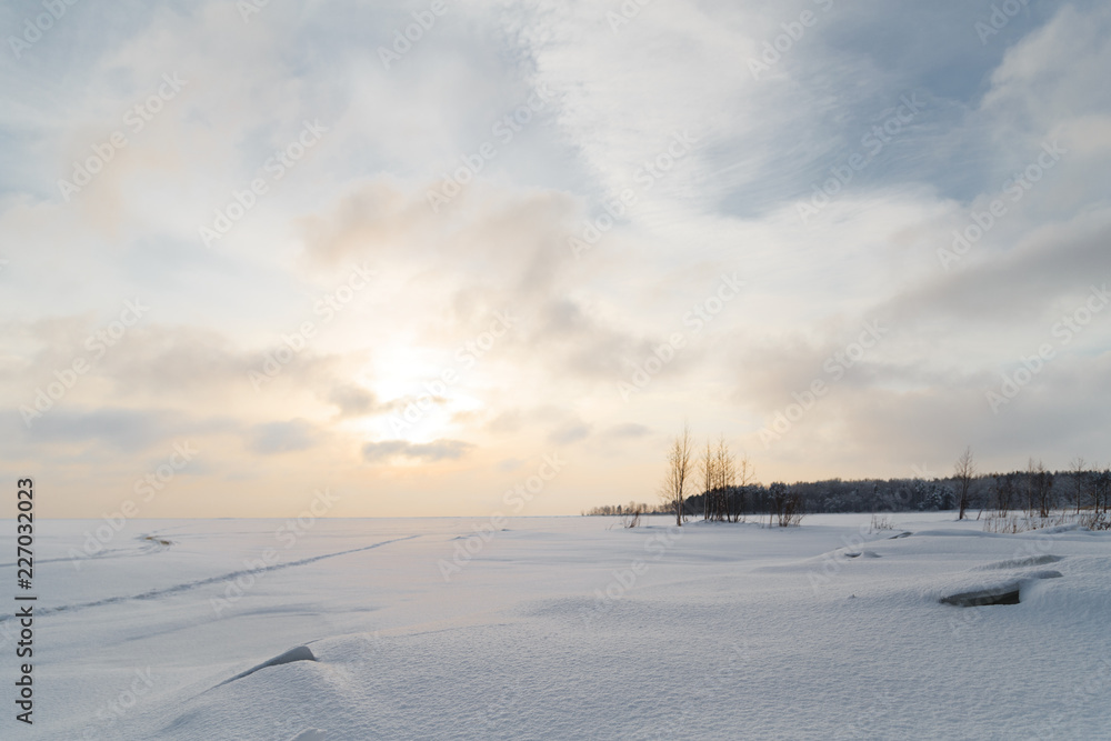 winter landscape