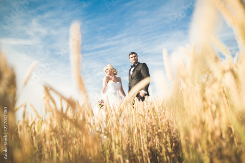 Beautiful wedding couple, bride and groom posing on wheat field with blue sky
